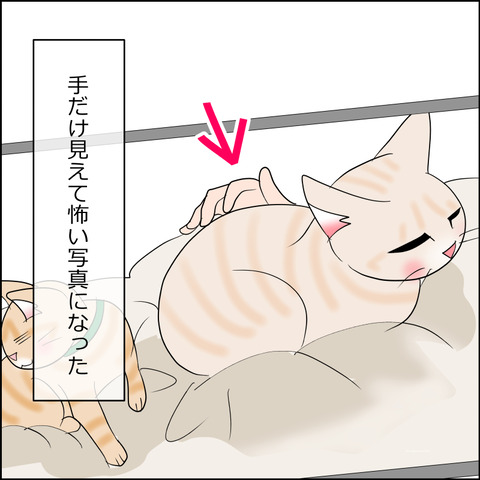 あんこ＆麦STORY2204d