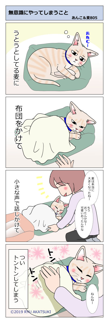 あんこ&麦STORY805