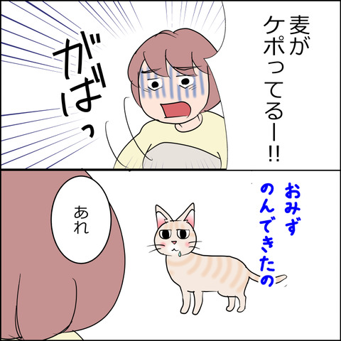 あんこ＆麦STORY2413b