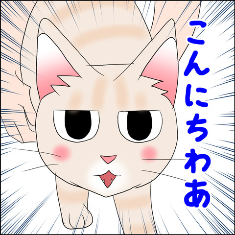 あんこ＆麦STORY2114c