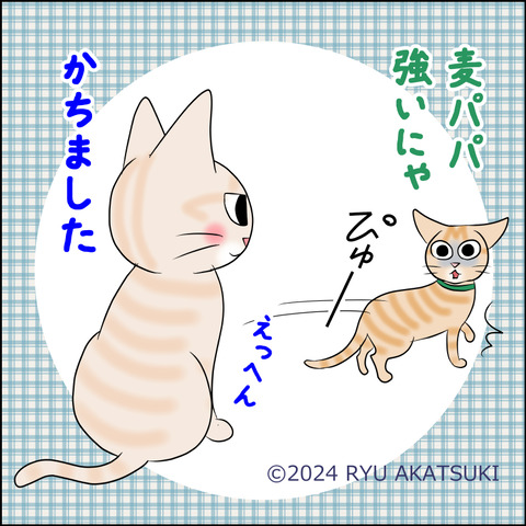 あんこ＆麦STORY2081d