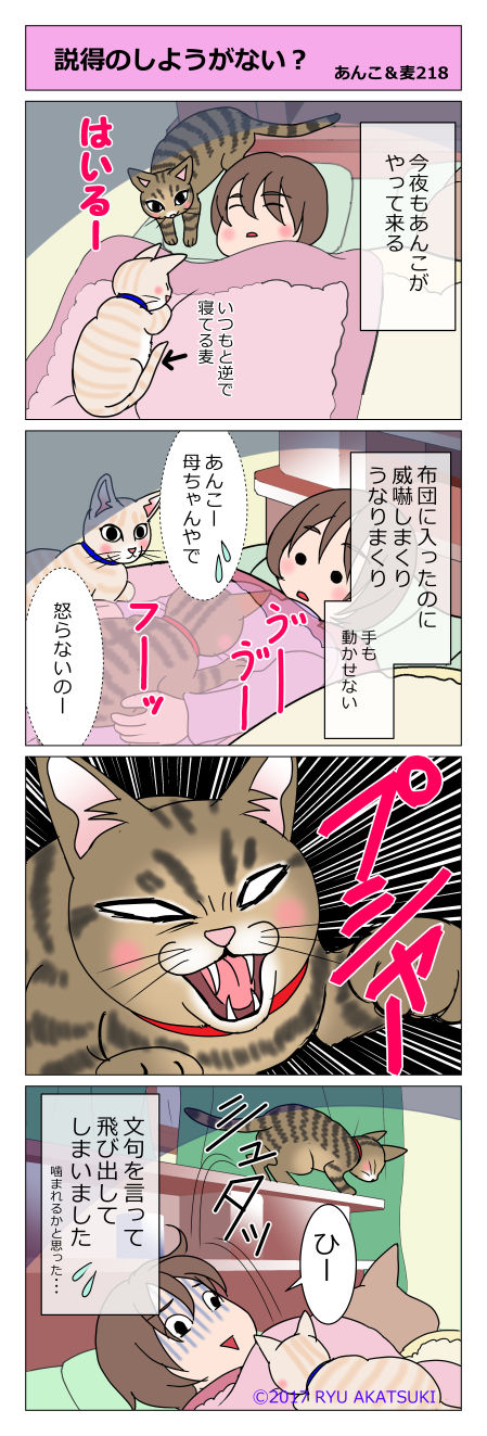 あんこ&麦STORY218