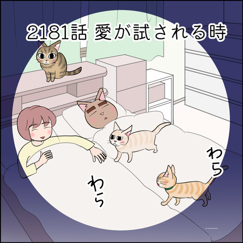 あんこ＆麦STORY2181@