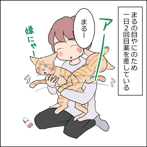 あんこ＆麦STORY2451a