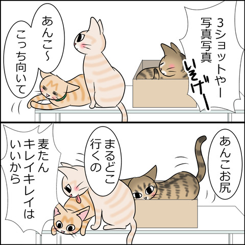 あんこ＆麦STORY1903c