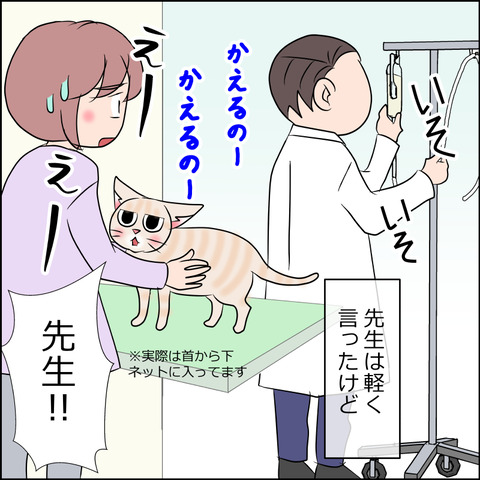 あんこ＆麦kenko84c