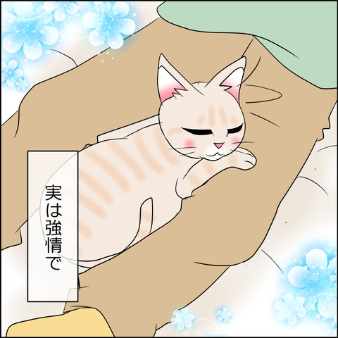 nekokita252c