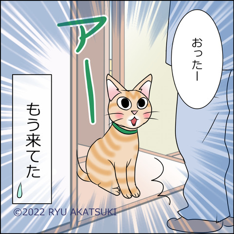 あんこ&麦STORY1715d