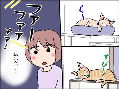 あんこ&麦STORY1634c