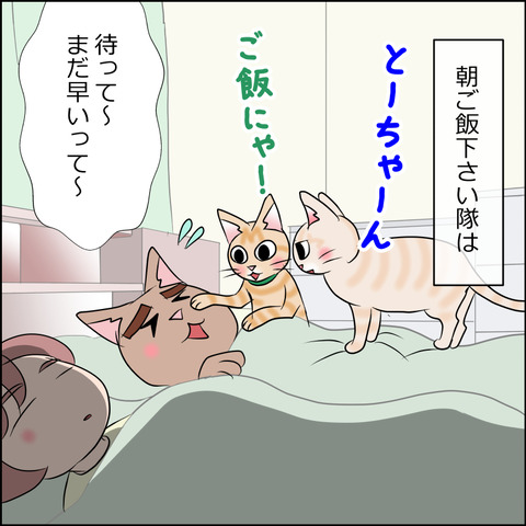 あんこ＆麦STORY2011a