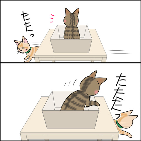 あんこ&麦STORY1759c