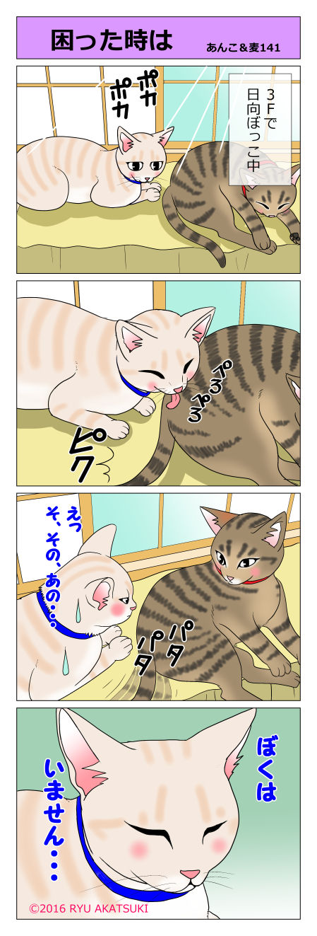 あんこ&麦STORY141