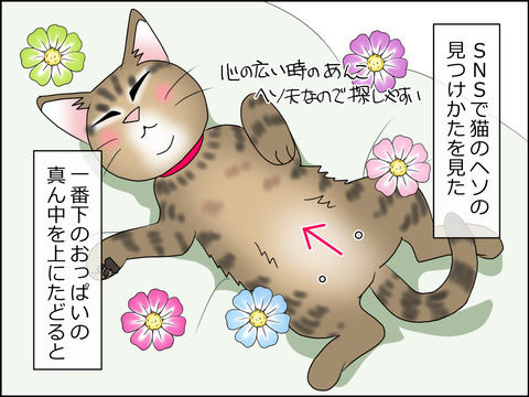 あんこ&麦STORY1431a