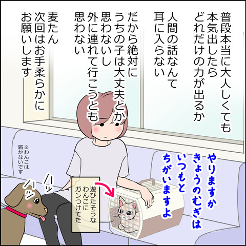 あんこ＆麦kenko104h