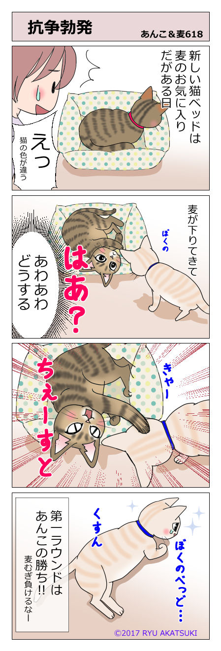 あんこ&麦STORY618