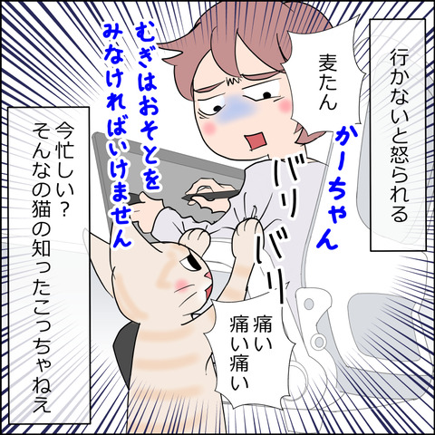 あんこ&麦STORY2384g