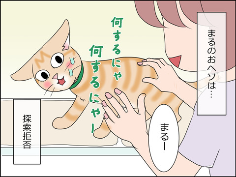 あんこ&麦STORY1431c