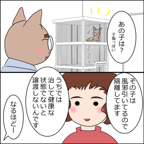 nekokita010b