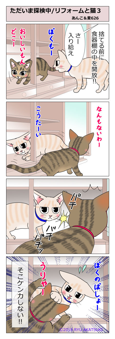 あんこ&麦STORY626