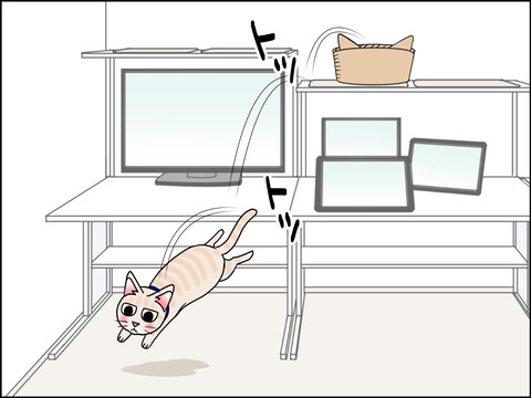 あんこ&麦STORY1446b