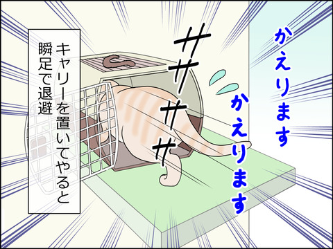 あんこ&麦kenko24c