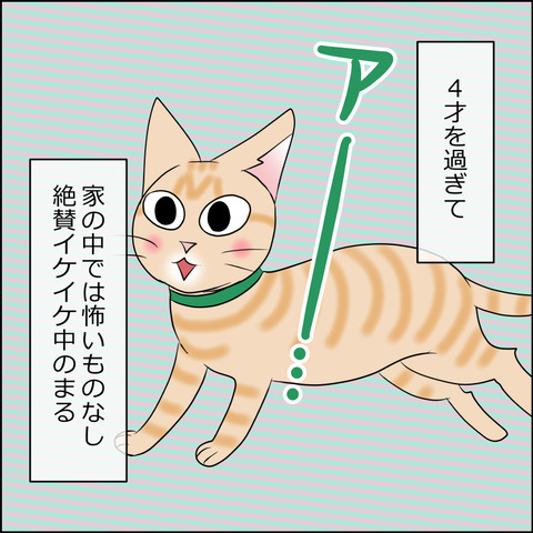 あんこ＆麦STORY2025a