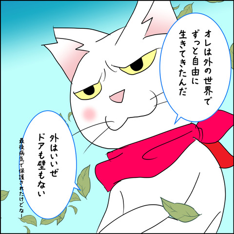 mugitabix016c