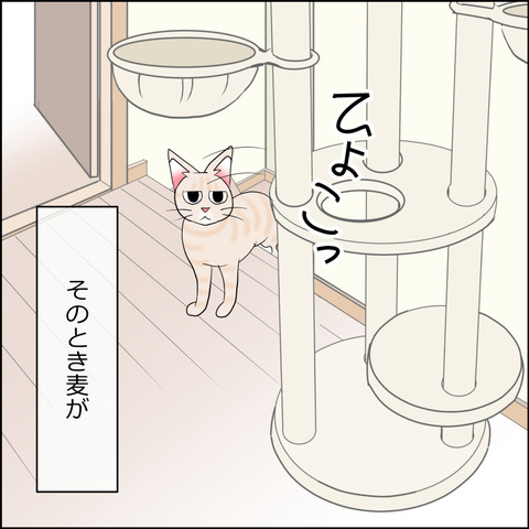 あんこ＆麦STORY2341b