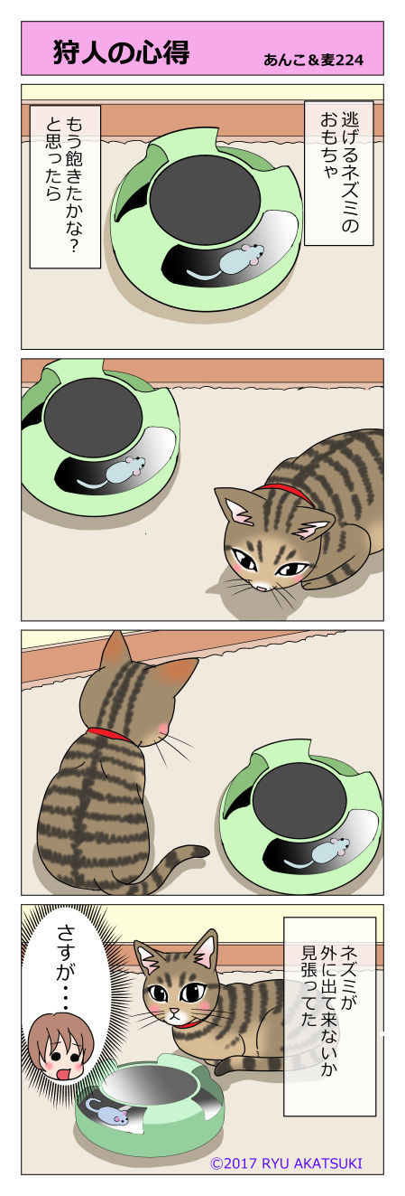 あんこ&麦STORY224