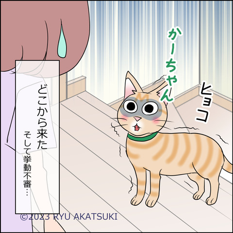 あんこ&麦STORY1970d