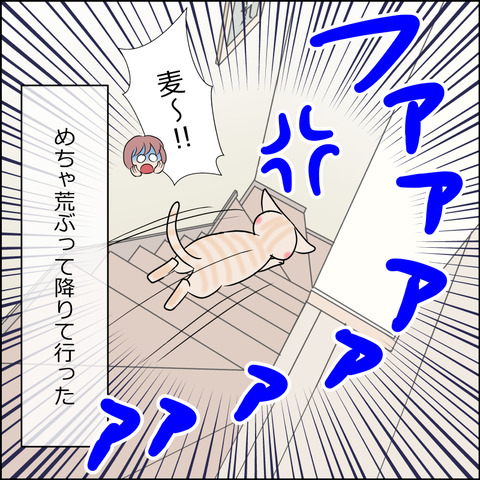 あんこ＆麦STORY2069d