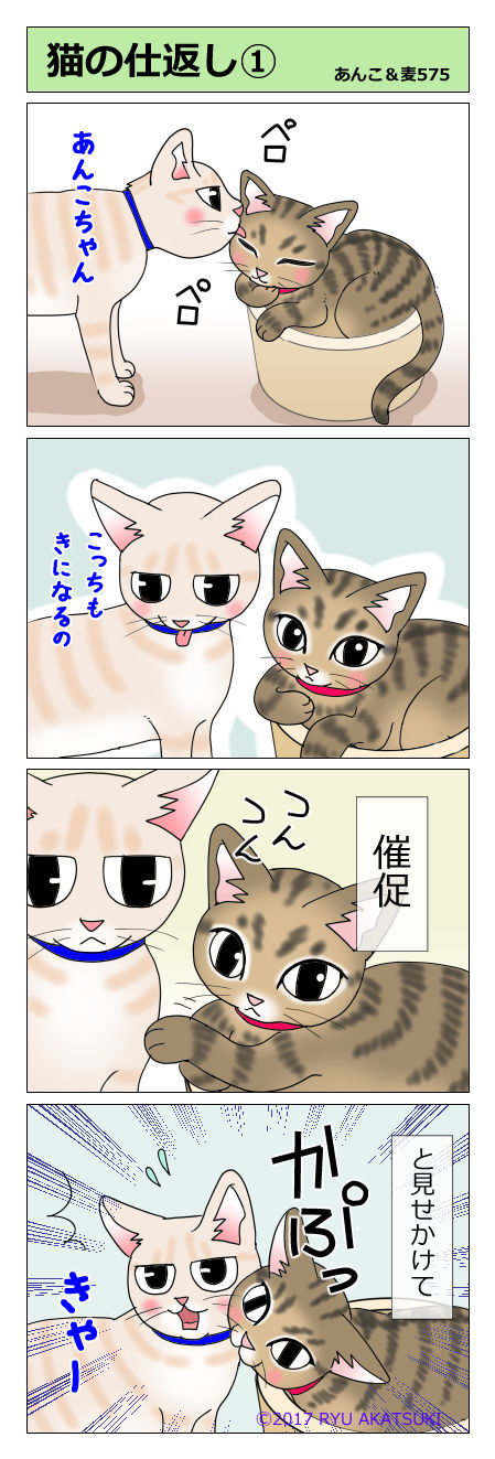 あんこ&麦STORY575