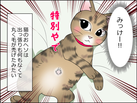 あんこ&麦STORY1431b