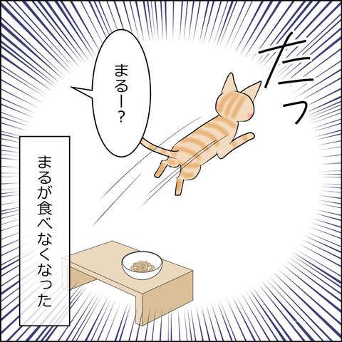あんこ＆麦STORY2436d