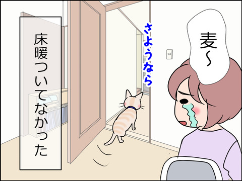 あんこ&麦STORY1503d