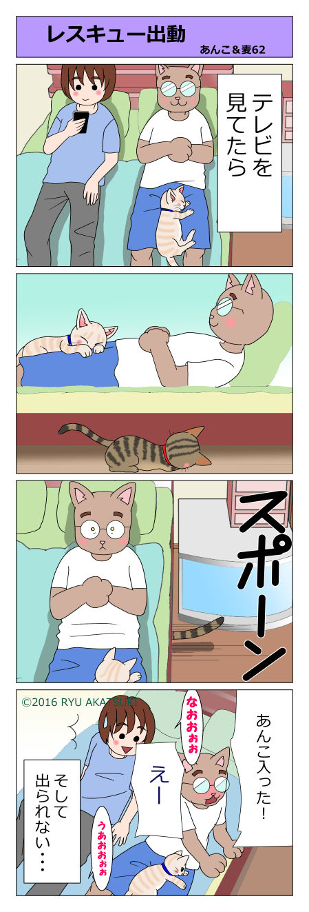 あんこ＆麦STORY62