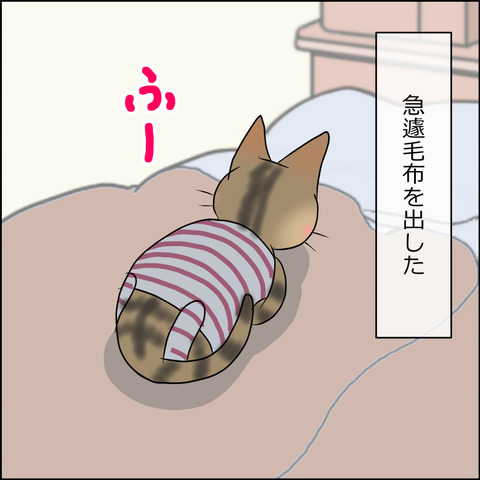 あんこ＆麦STORY1709b