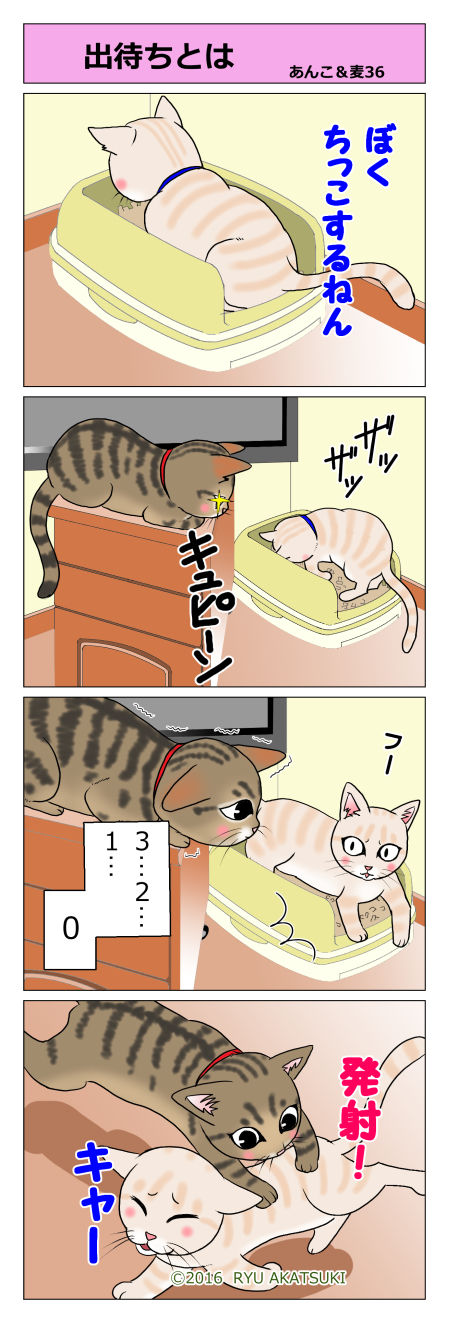あんこ&麦STORY36