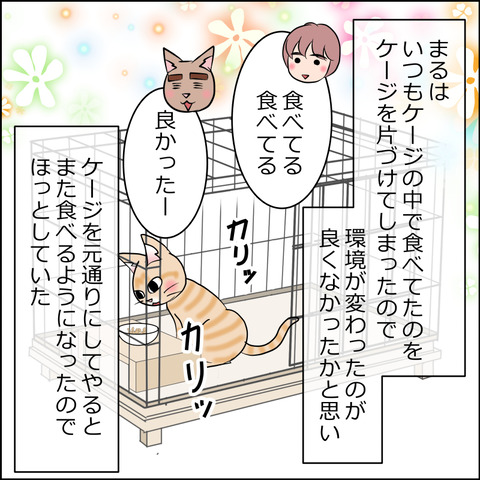 あんこ＆麦kenko151b
