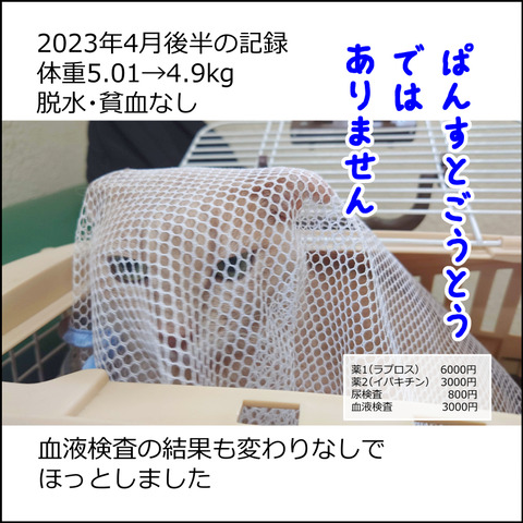 あんこ＆麦kenko79e