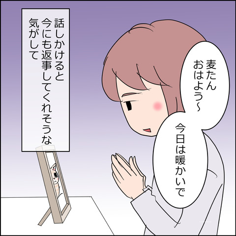あんこ&麦STORY2427c