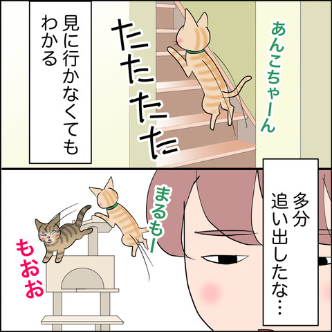 あんこ＆麦STORY2128d