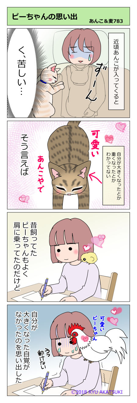 あんこ&麦STORY783