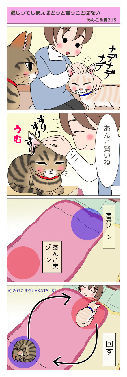 あんこ＆麦STORY215