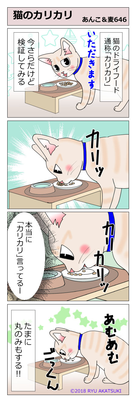 あんこ&麦STORY646