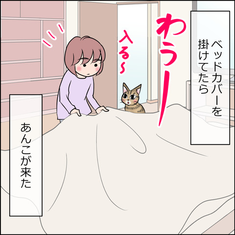 あんこ＆麦STORY1898a