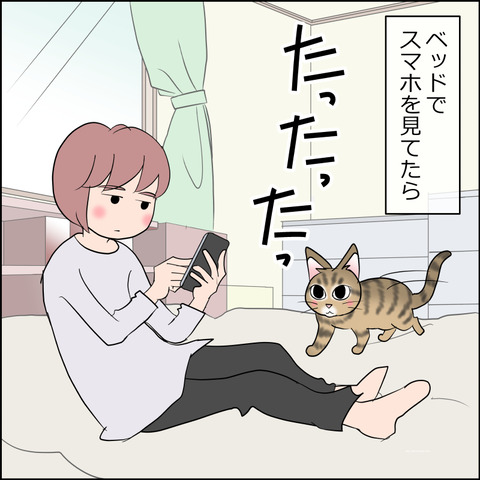 あんこ&麦STORY2363a