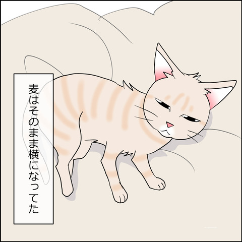 mugitabi024d