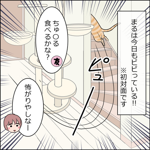 あんこ＆麦STORY2445b