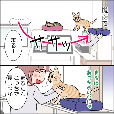 あんこ＆麦STORY1795b